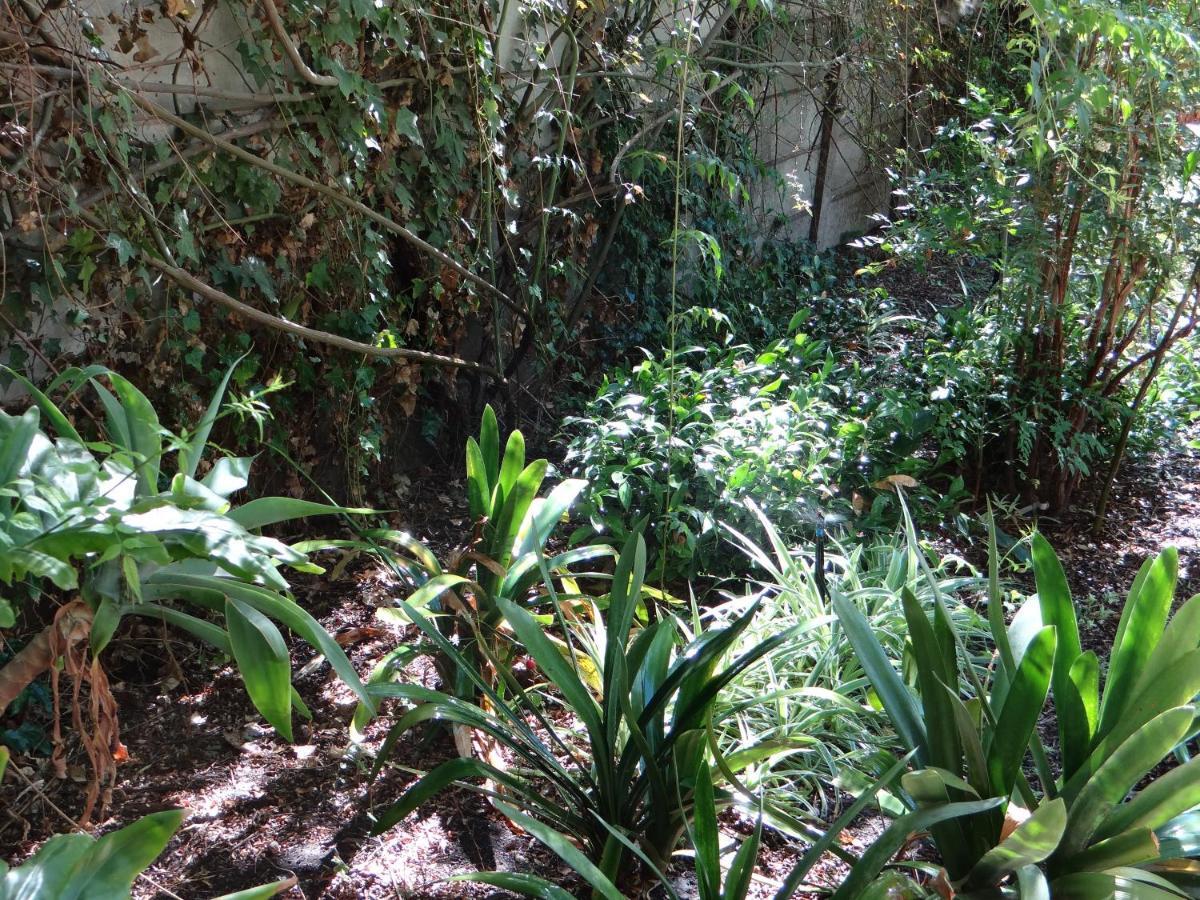 La Paix Guesthouse 博福特西 外观 照片